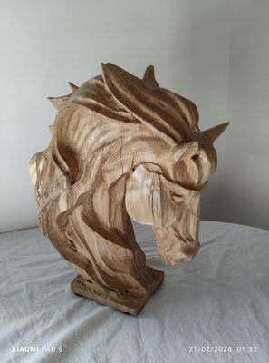 Tête de cheval1