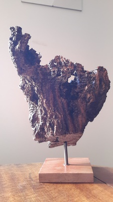 Nature morte3