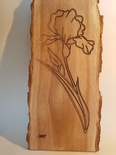 Fleur d'iris