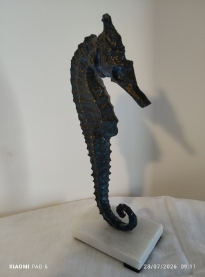 Grand Hippocampe3