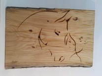 Tête de cheval avec sa cavalière