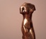 Torse de venus