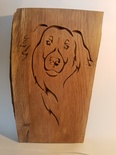 Tête stylisée de chien Terre-Neuve