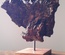 Nature morte