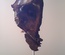 Nature morte 2