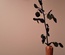 Vase uniflore en olivier