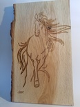 Cheval en liberté