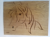 Tête de cheval décoiffé de profil