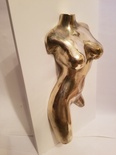 Tronc de femme nue