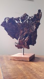 Nature morte