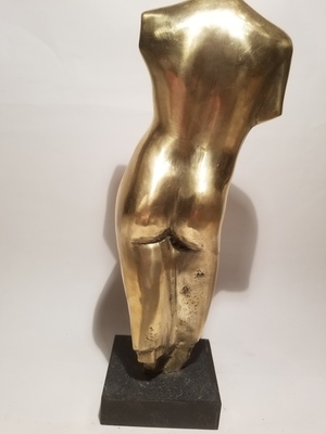 Tronc d'homme nu3
