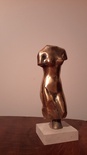 Torse de venus