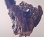 Nature morte