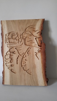 Tête de tortue marine