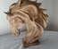 Tête de cheval