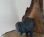 Bison