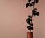 Vase cylindrique uniflore en olivier