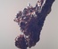 Nature morte