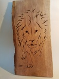 Lion qui marche