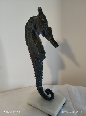 Grand Hippocampe2