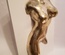 Tronc de femme nue