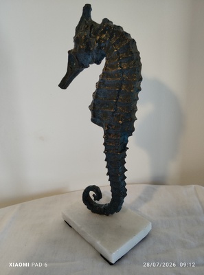 Grand Hippocampe4