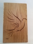 Oiseau - Colombe en vol