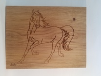 Cheval au trot
