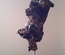 Nature morte 2