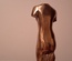 Torse de venus