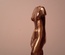 Torse de venus