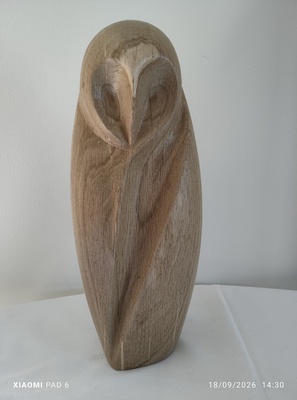 Hibou1