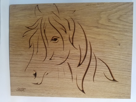 Tête de cheval décoiffé de profil