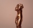 Torse de venus