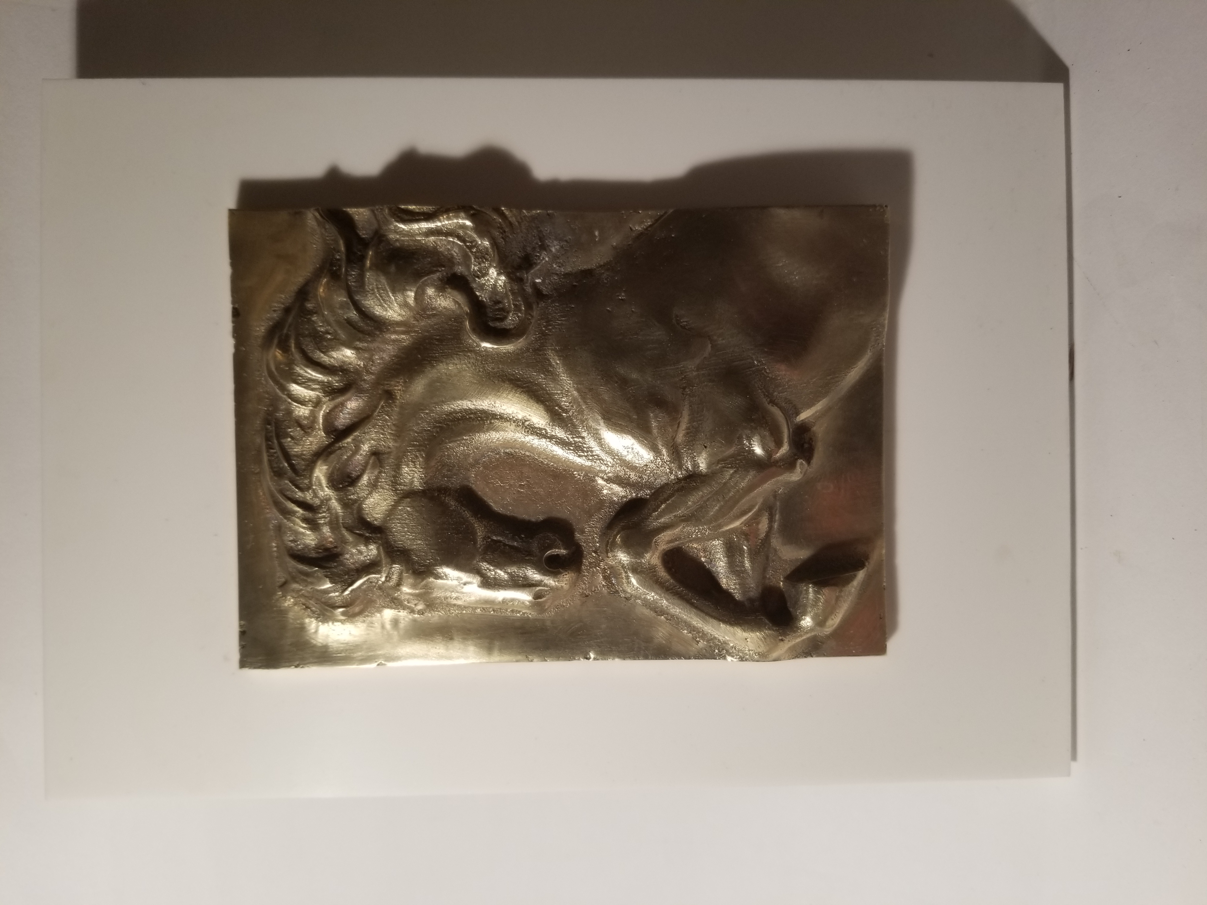 Cheval cabré1