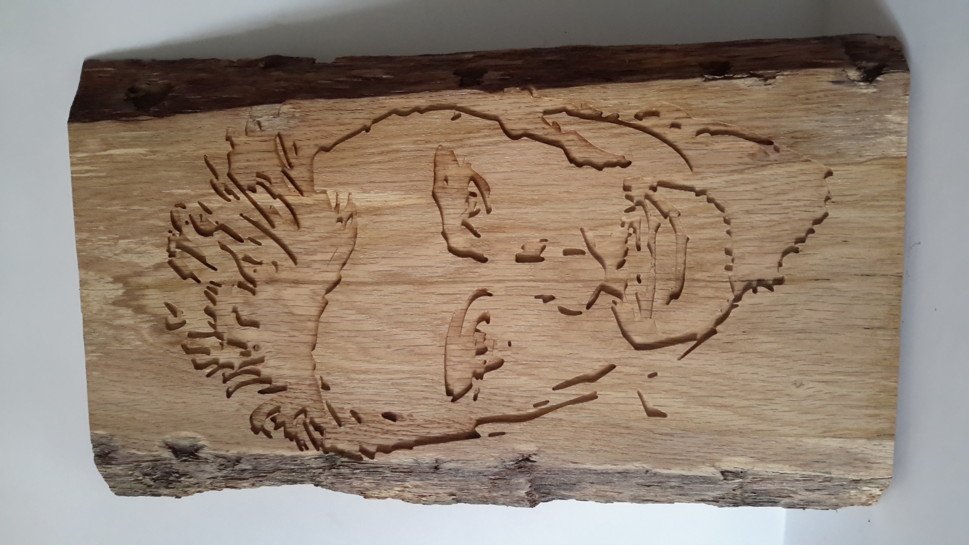 Portrait de Johnny Hallyday1