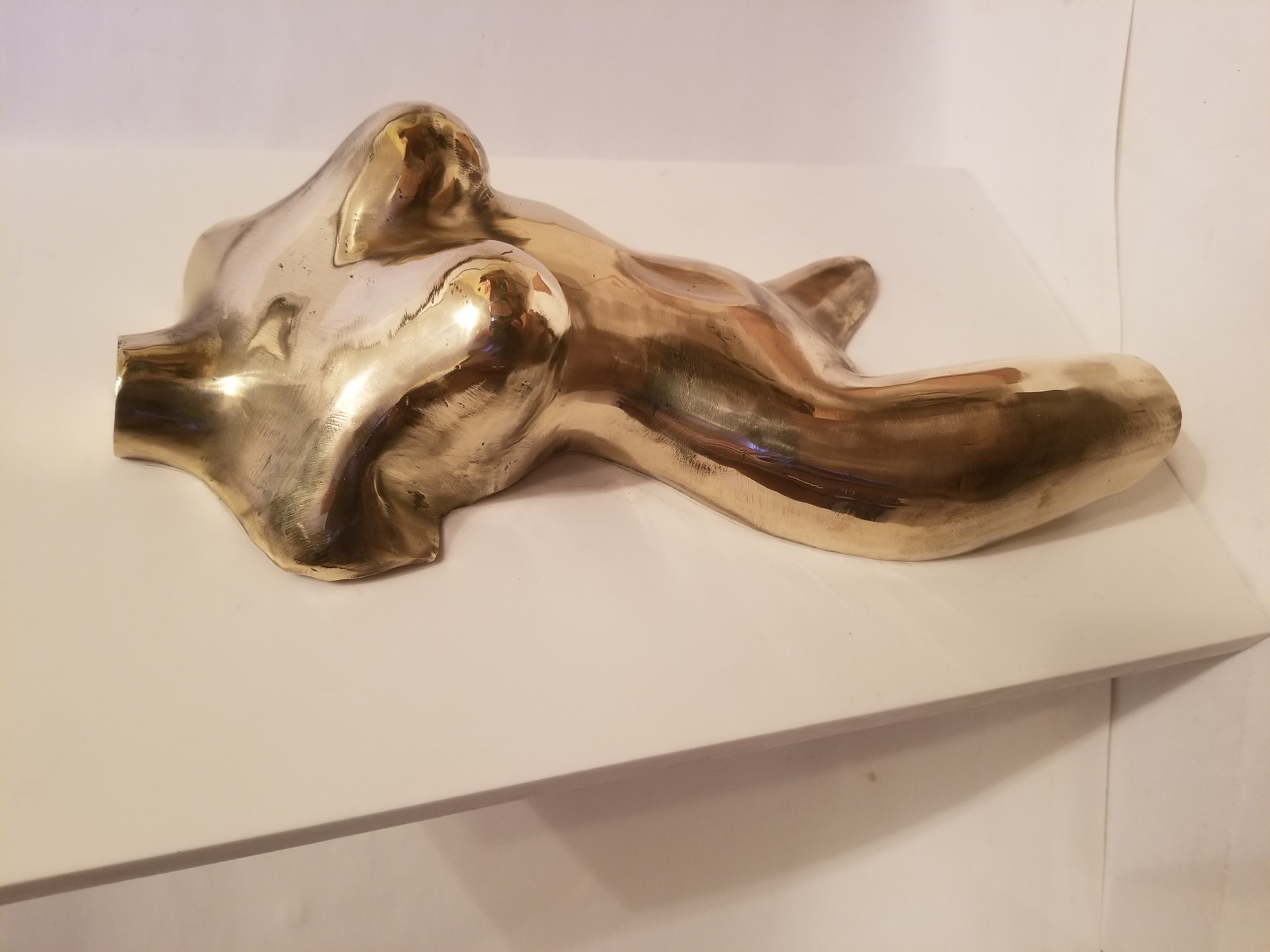 Tronc de femme nue1