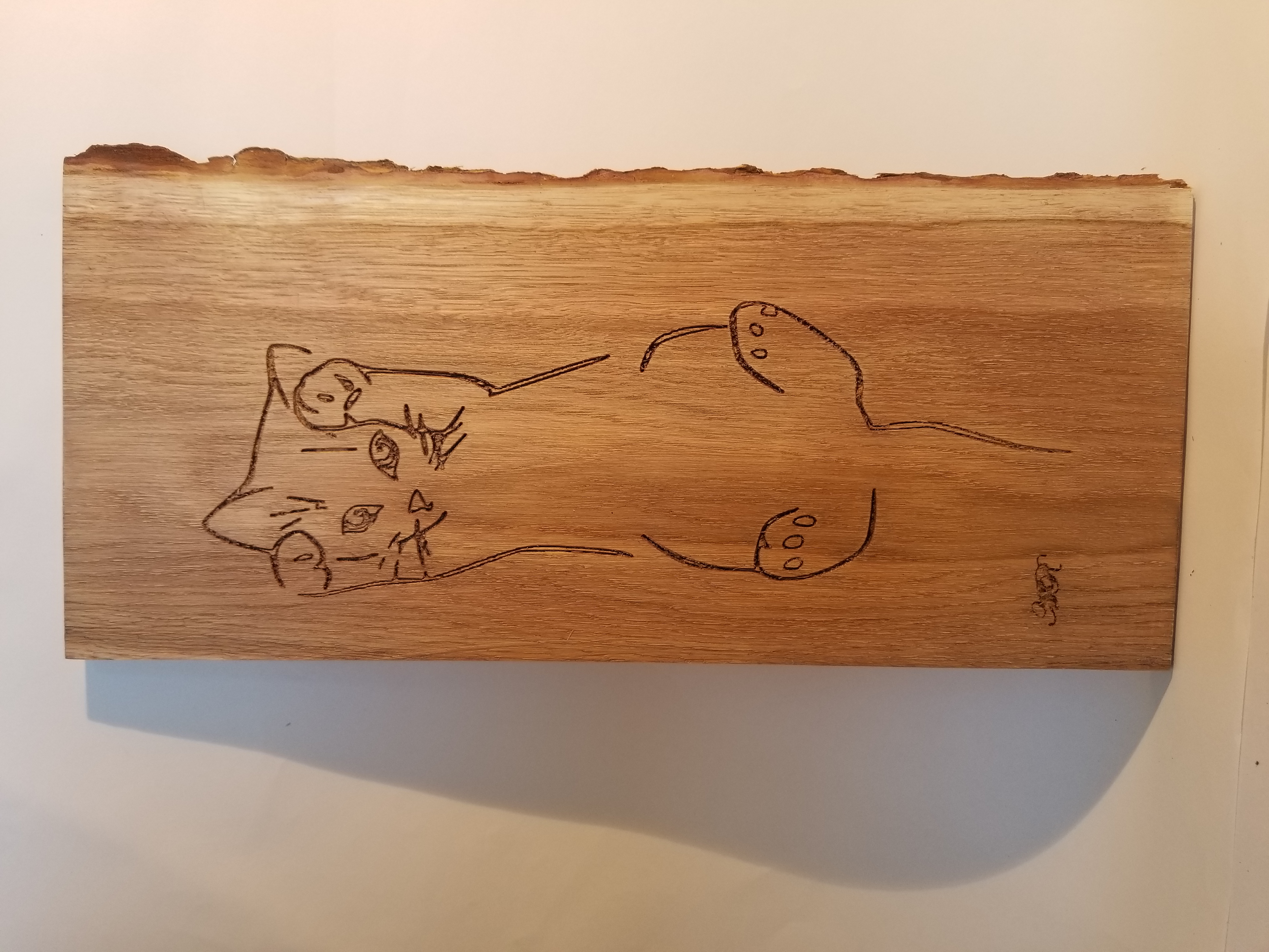 Chaton couché1