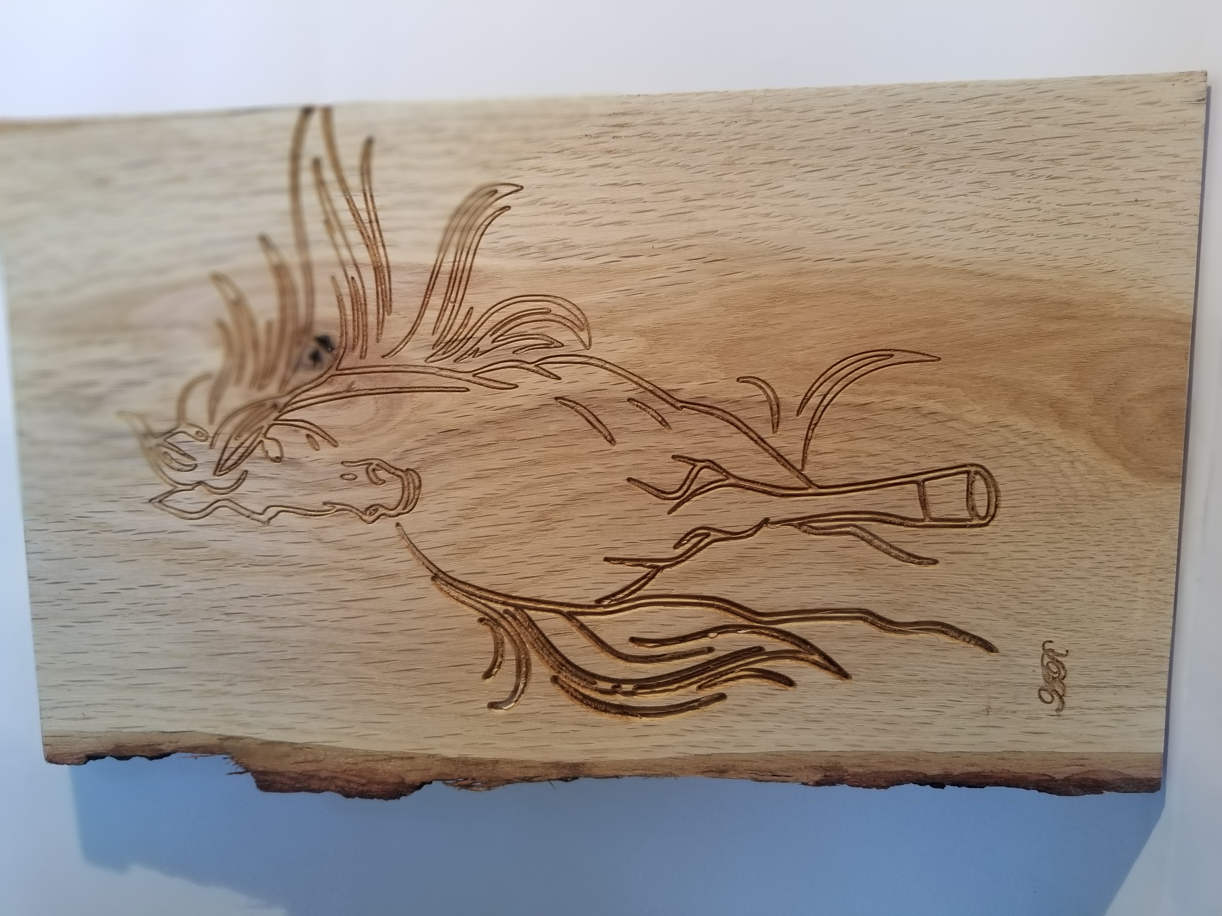 Cheval en liberté1