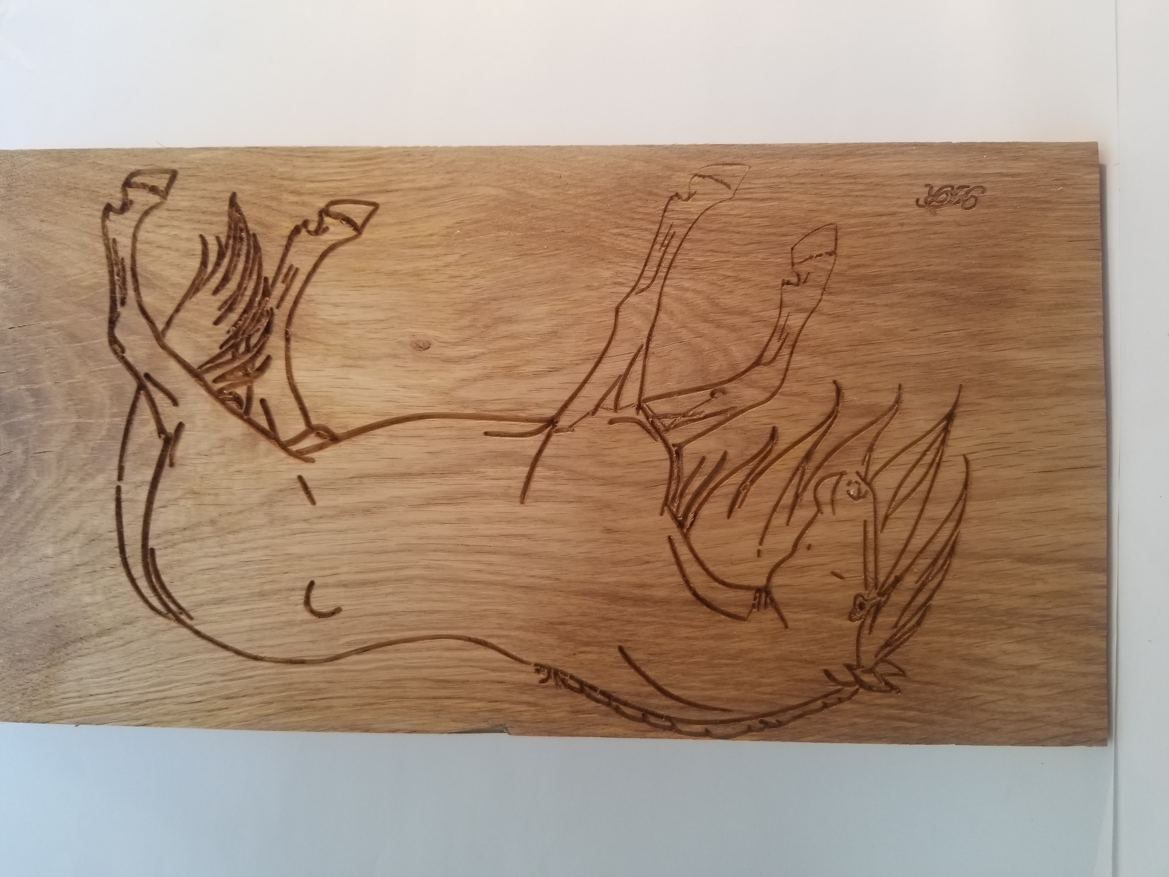 Cheval piaffant1