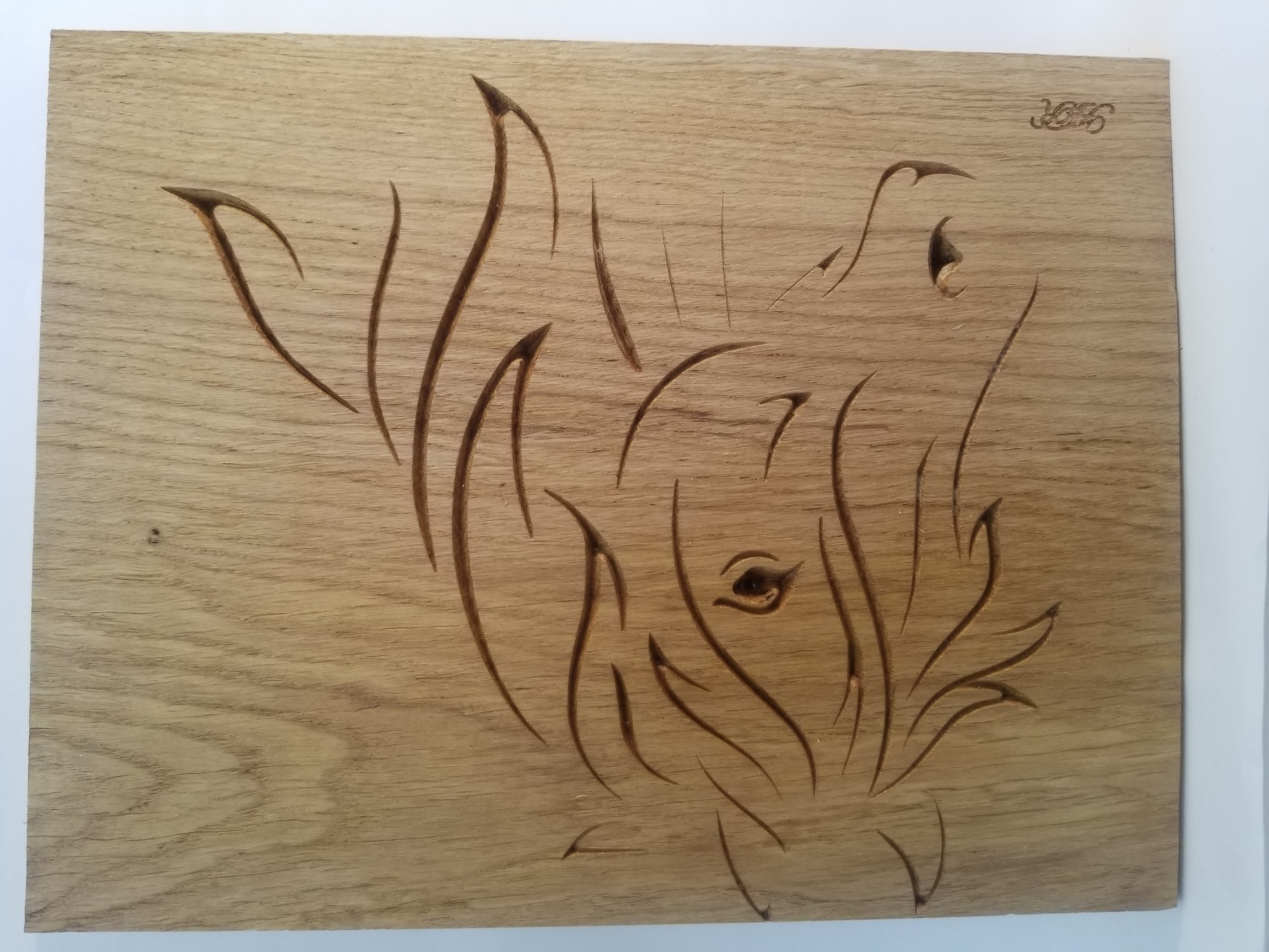 Tête de cheval décoiffé de profil1