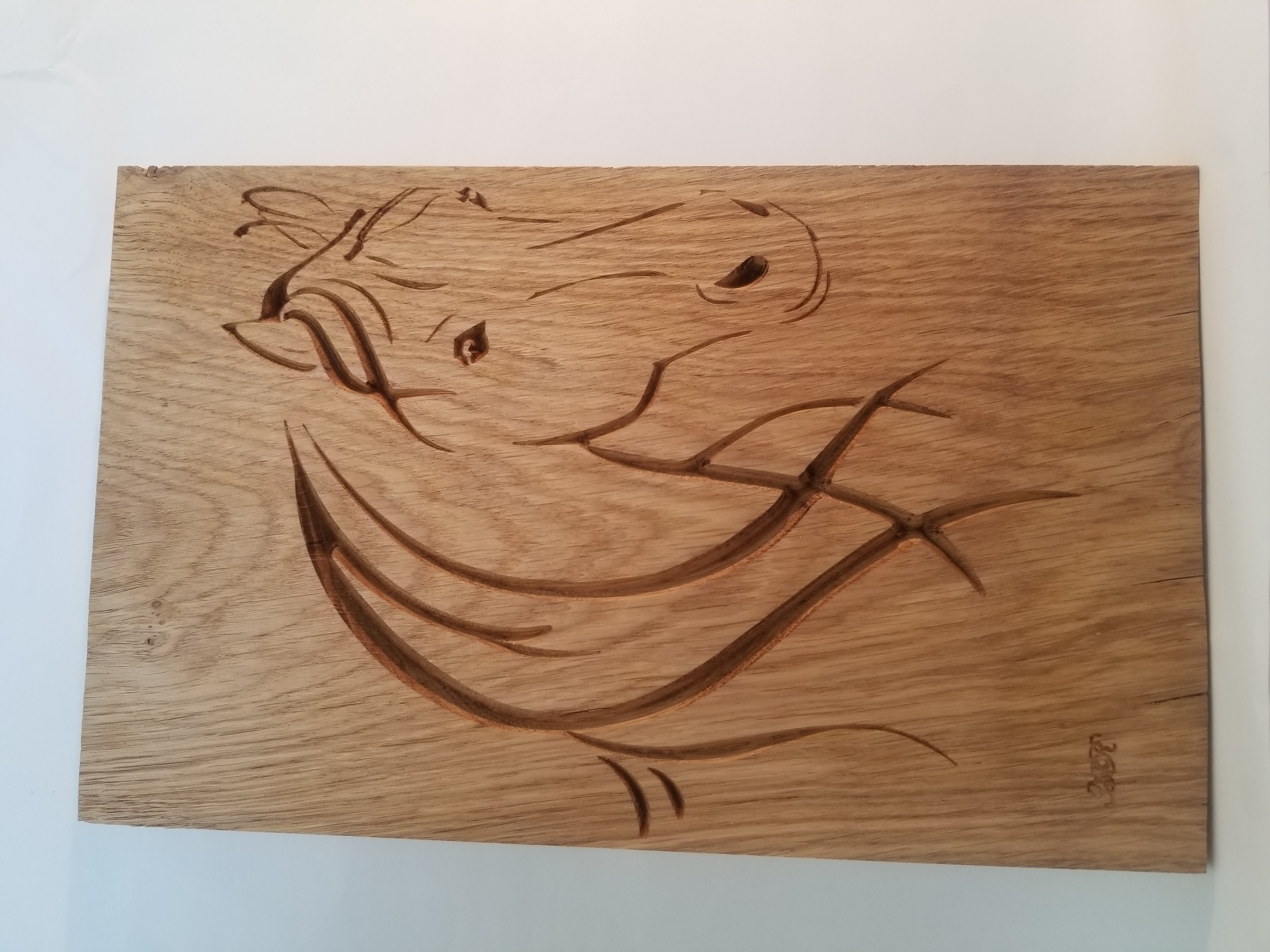 Tête de cheval de profil1