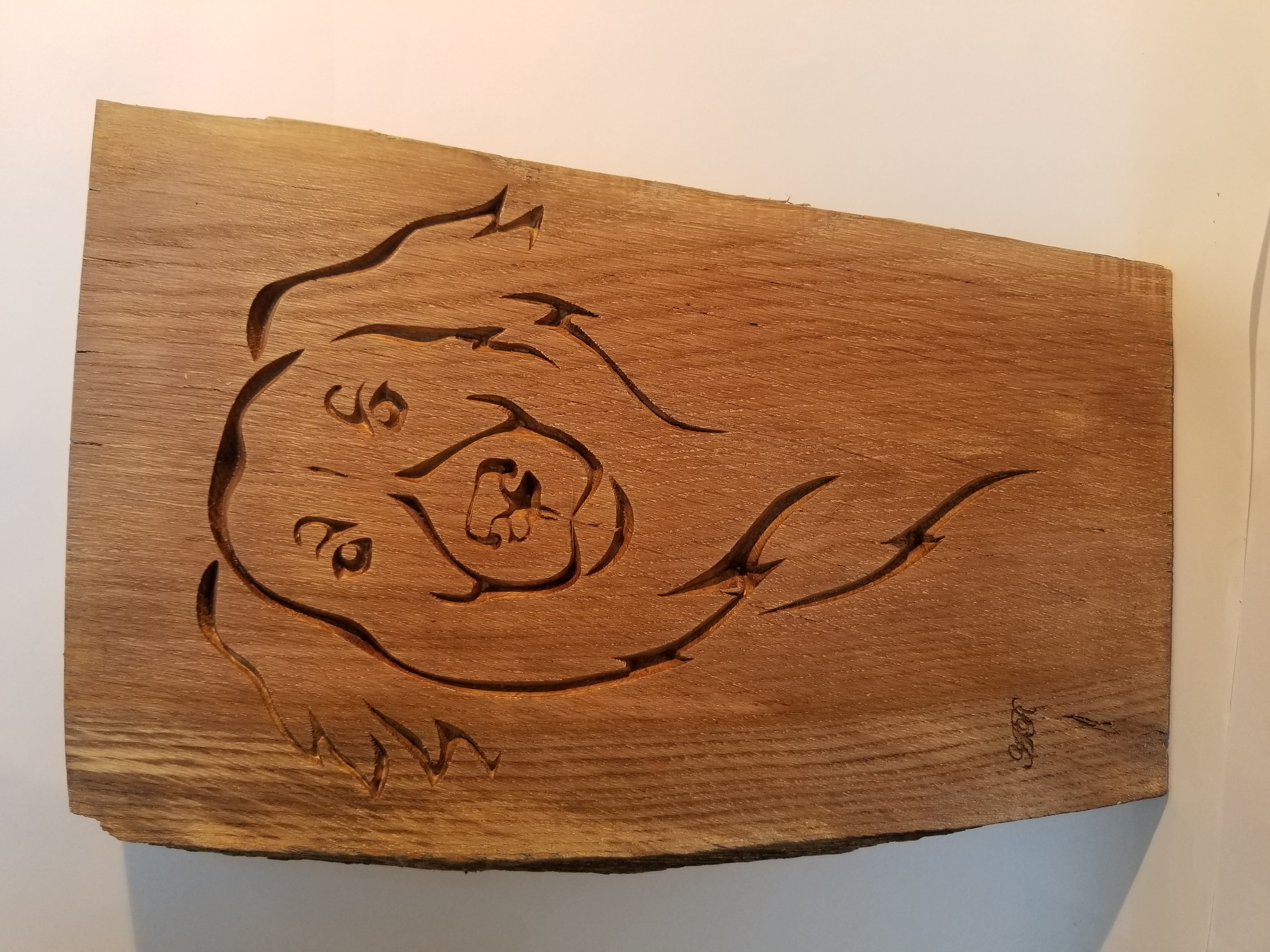 Tête stylisée de chien Terre-Neuve1