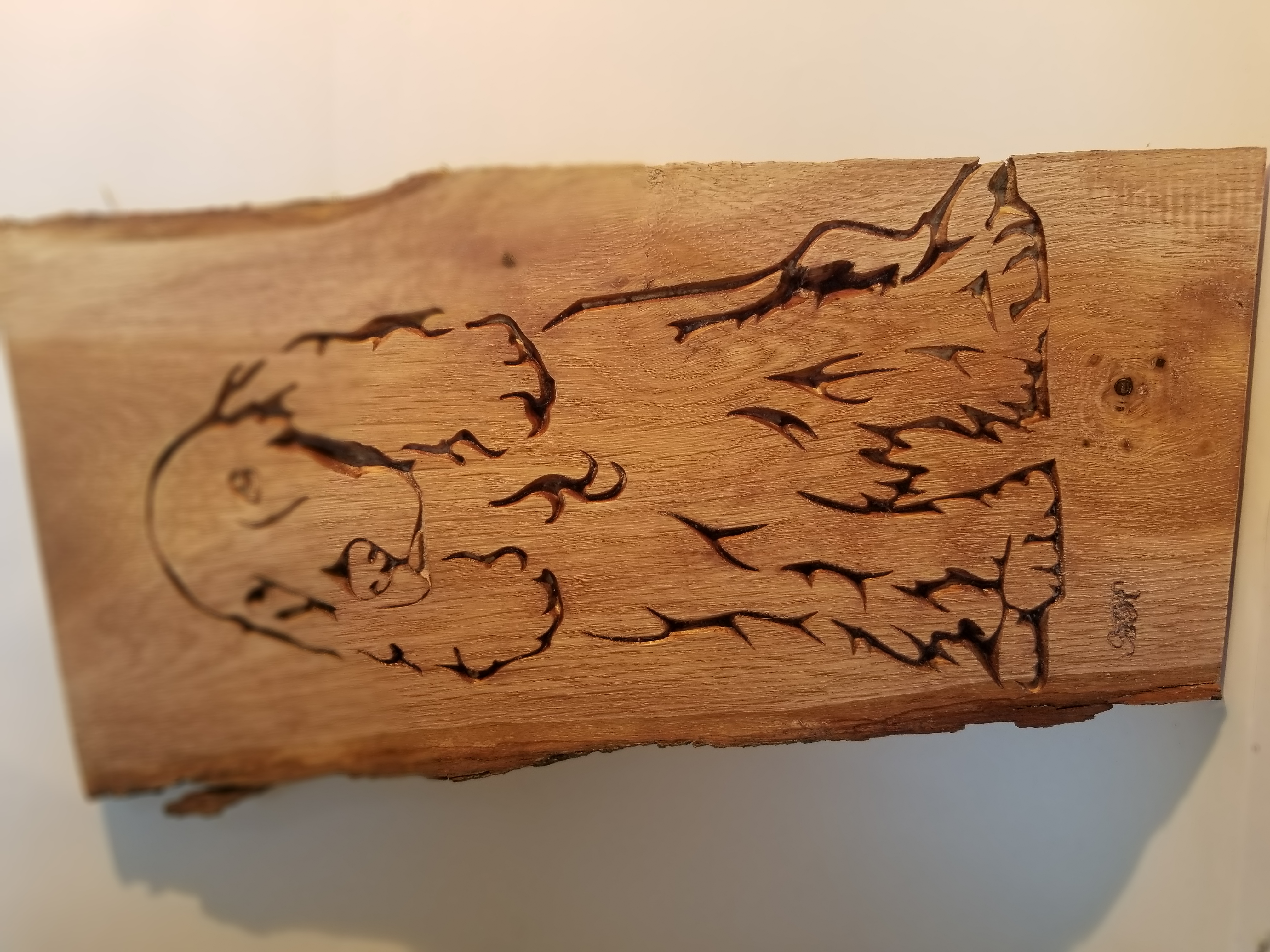 Chien cocker assis1