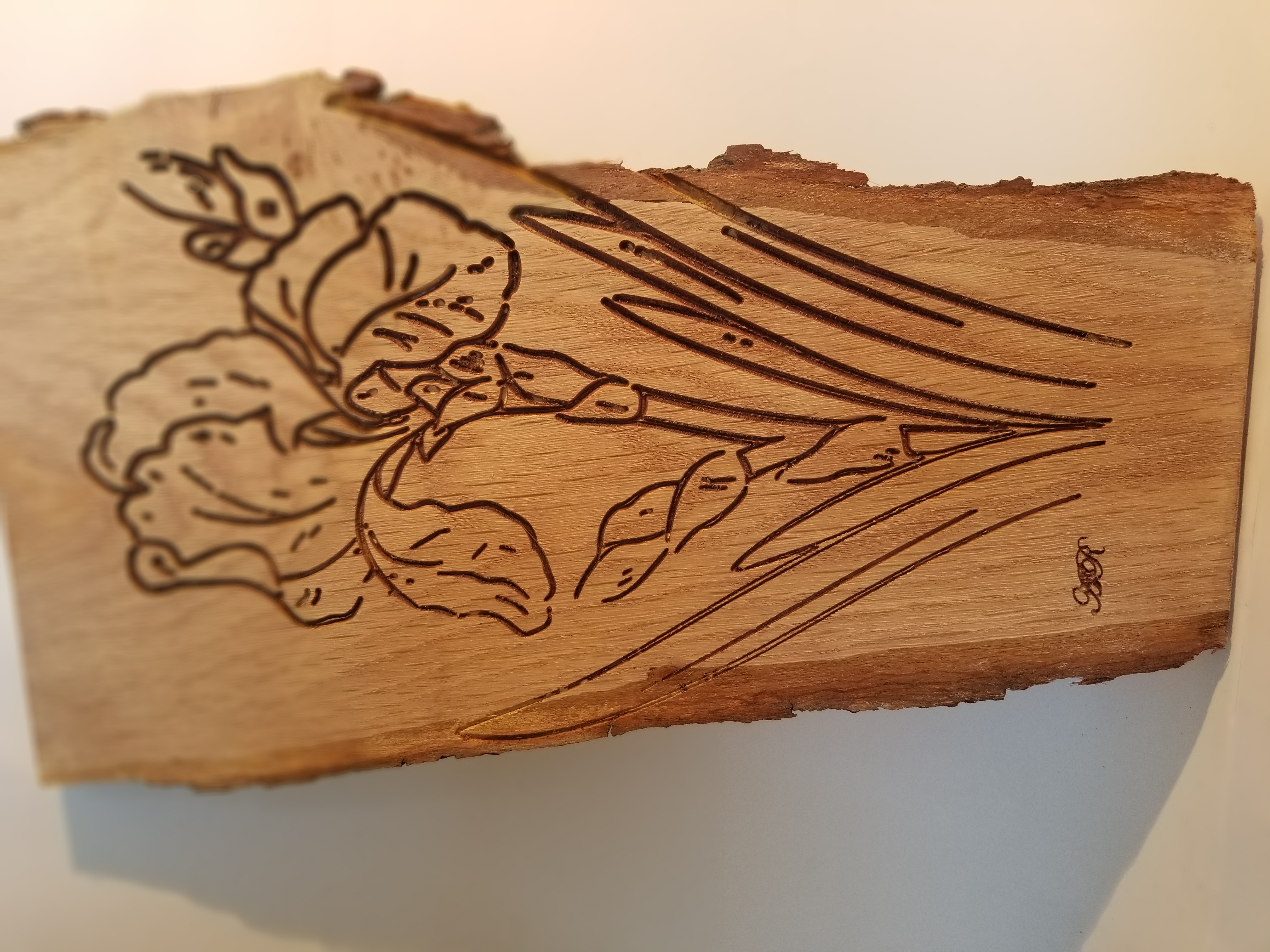 Fleur et boutons d'iris1