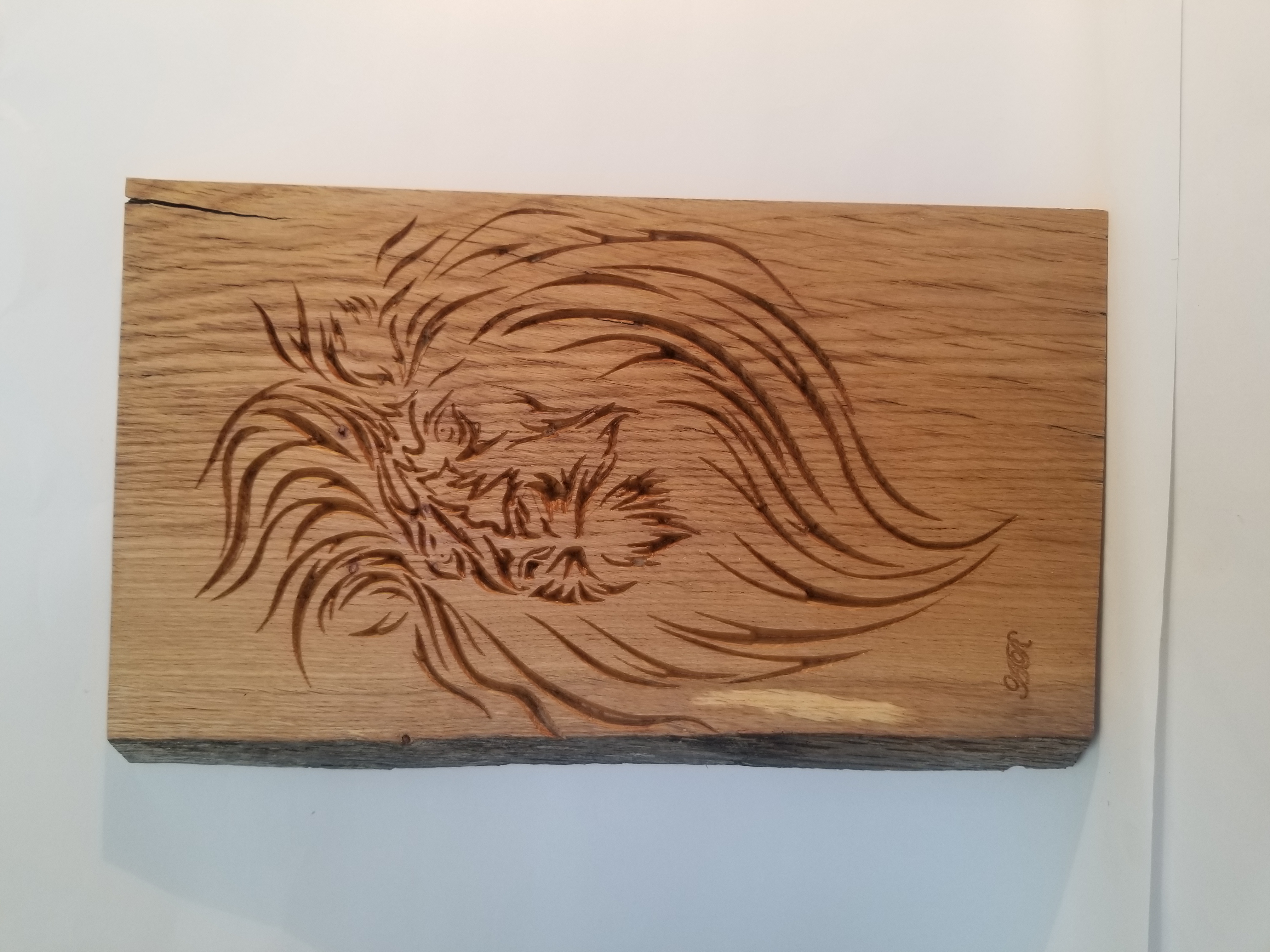 Tête de lion1