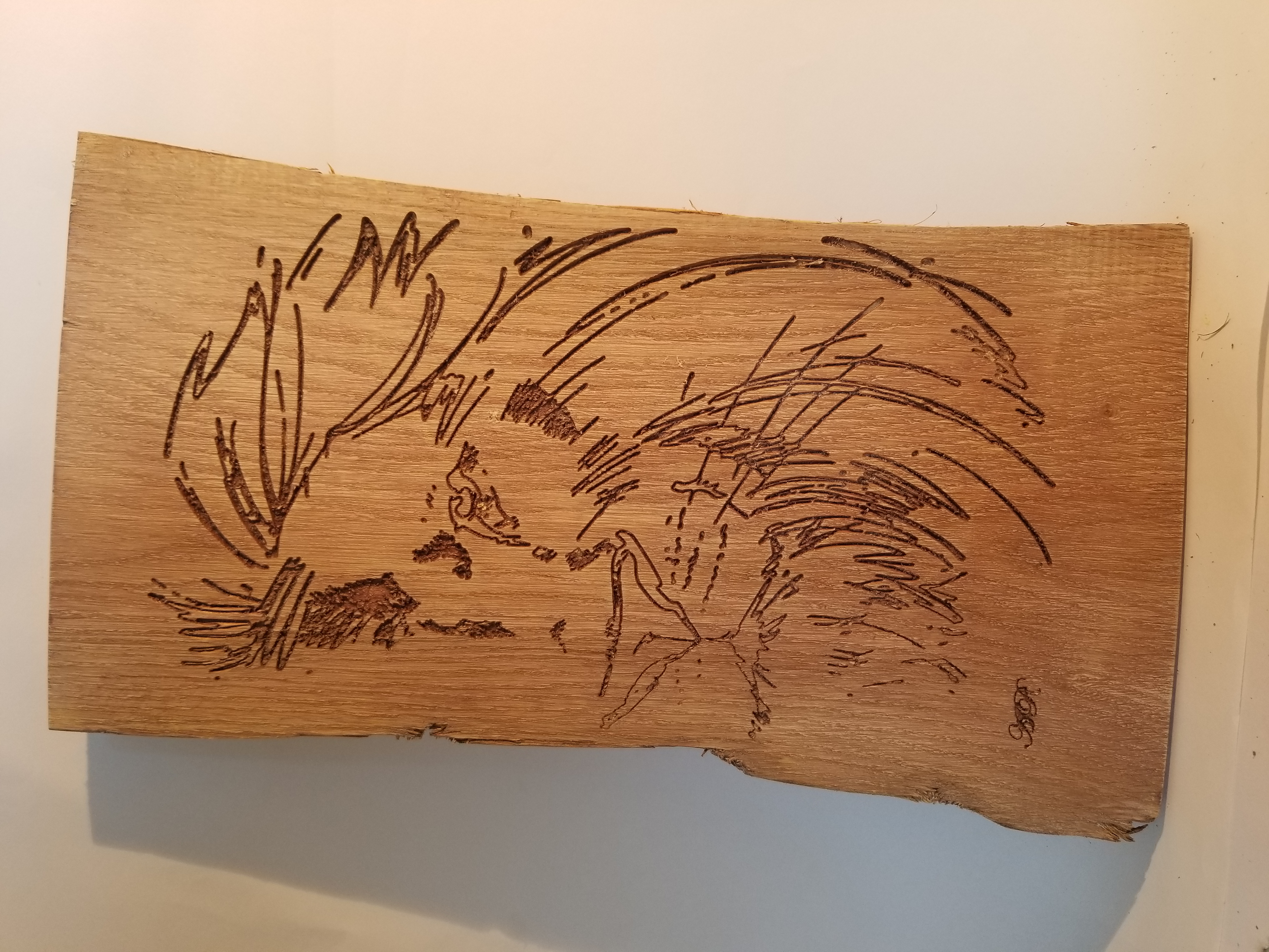 Demie tête de lion1