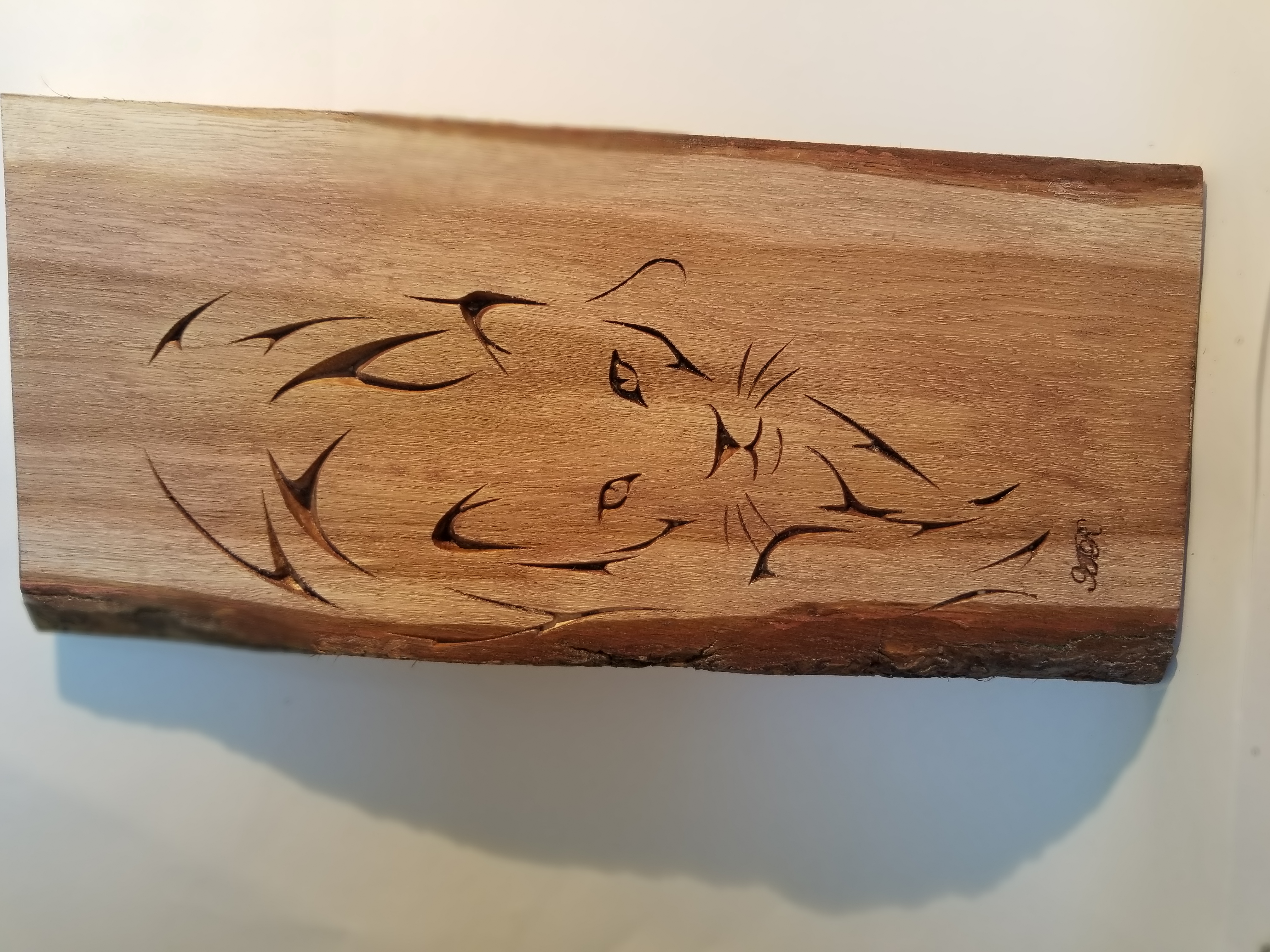Panthère à la chasse1