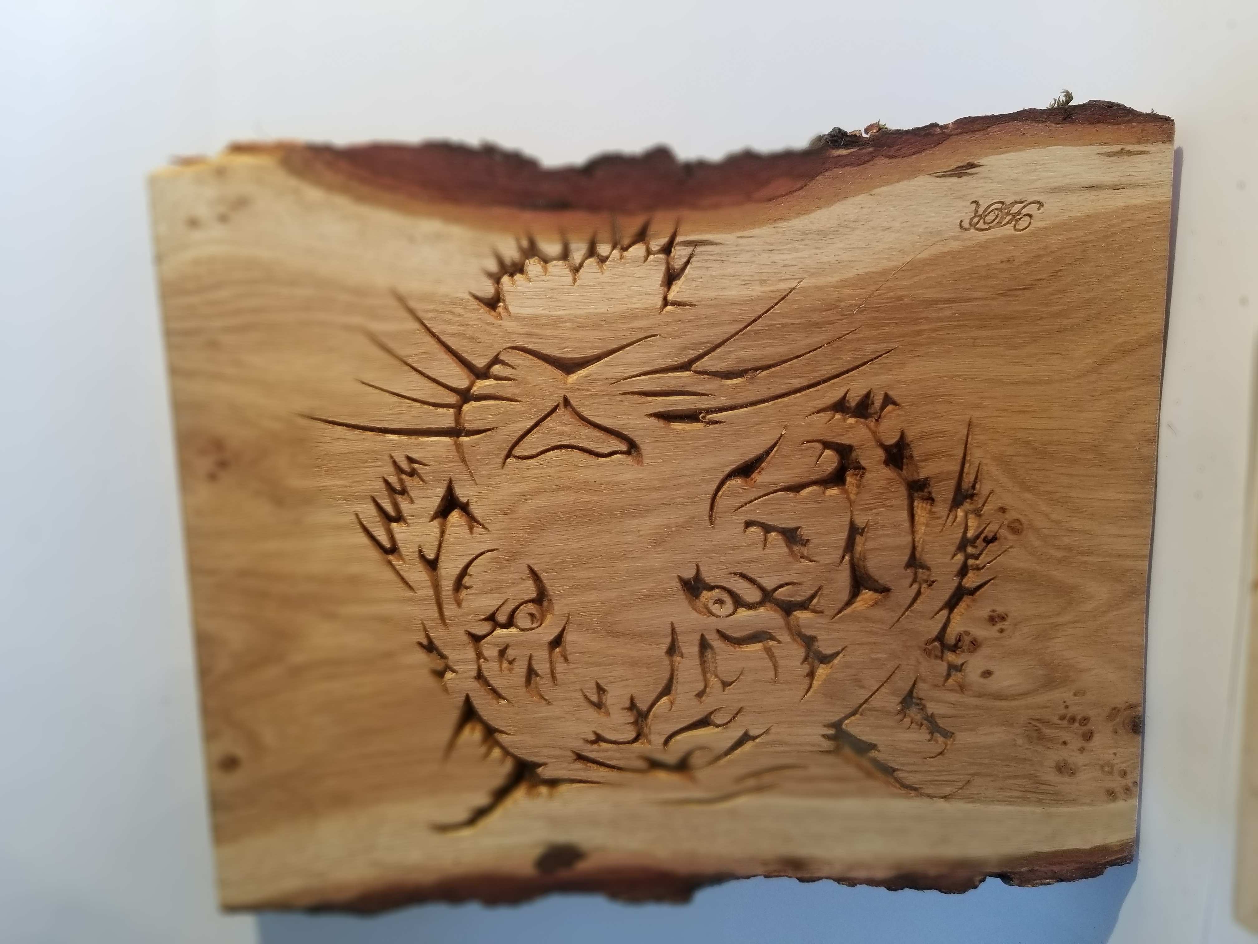 Tête de tigre1