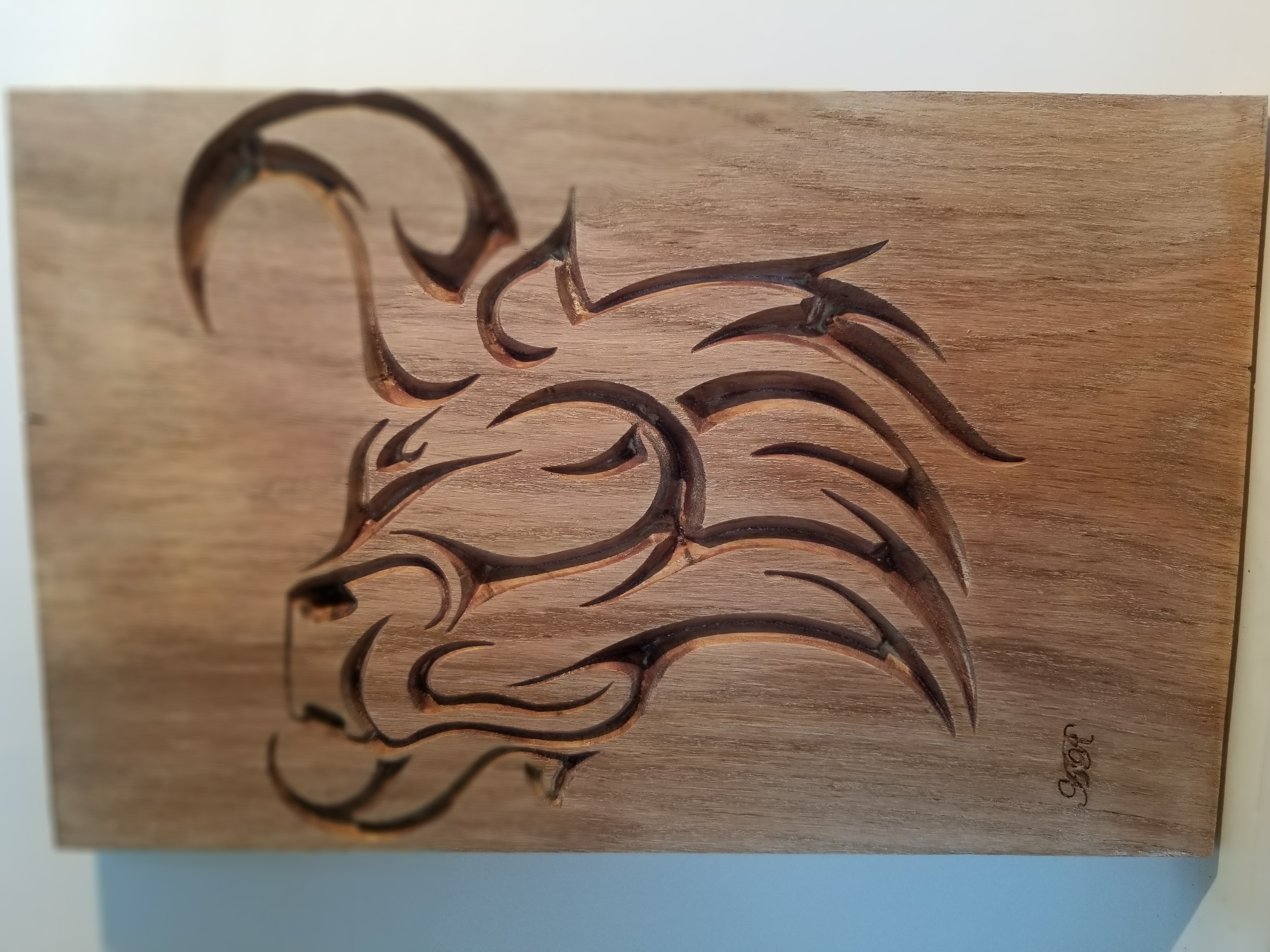 Tête de taureau mugissant1